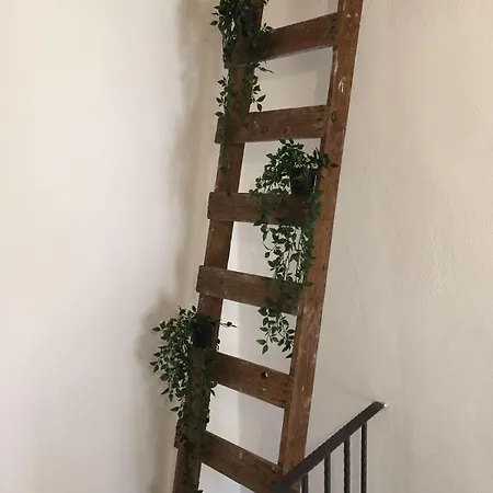La Corte San Francesco Oda ve Kahvaltı Bari