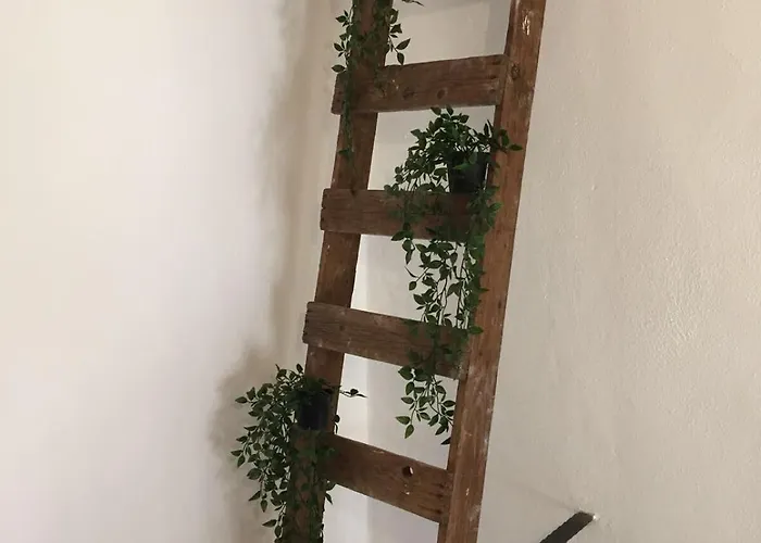 La Corte San Francesco Bed and Breakfast Μπάρι